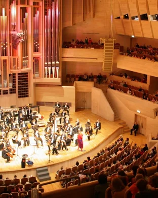 Symphony Arlington: The New World