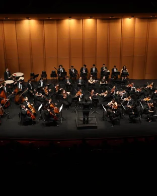 Dallas Symphony Orchestra: Family Holidays with the DSO