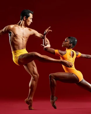 Pilobolus